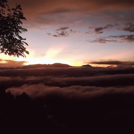 Отель Toraja Manubackpacker Рантепао Экстерьер фото