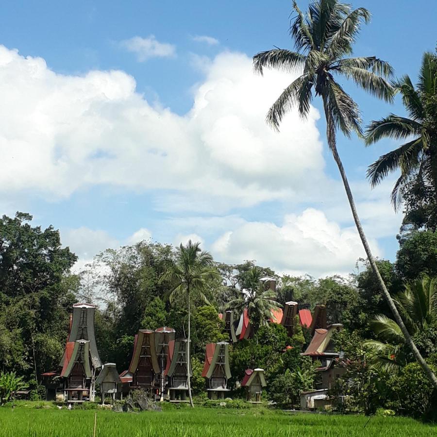 Отель Toraja Manubackpacker Рантепао Экстерьер фото