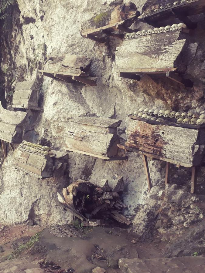 Отель Toraja Manubackpacker Рантепао Экстерьер фото