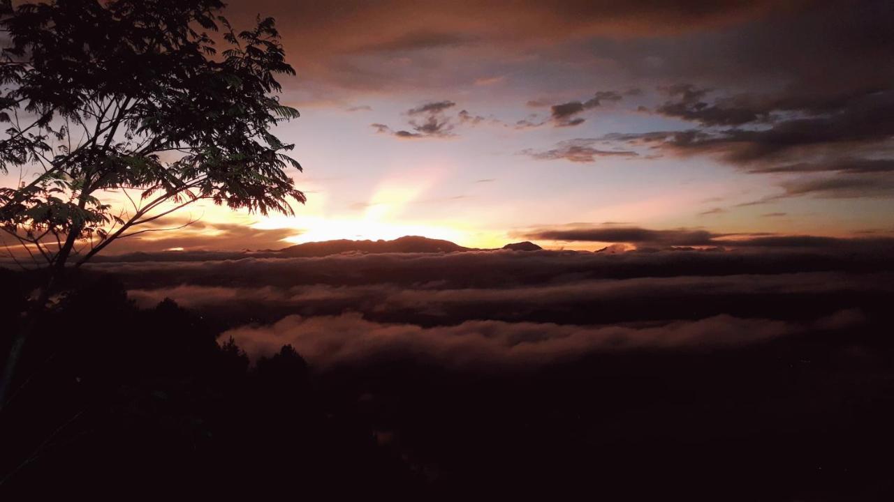 Отель Toraja Manubackpacker Рантепао Экстерьер фото